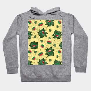 Fresh and Juicy Watermelon Hoodie